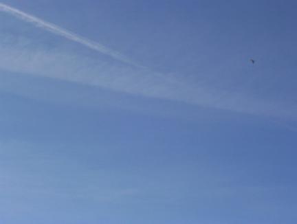 Three Forks Contrails